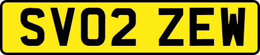 SV02ZEW