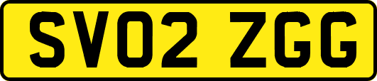 SV02ZGG