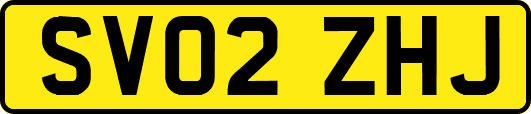 SV02ZHJ