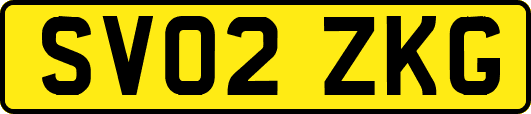 SV02ZKG