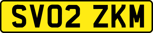 SV02ZKM