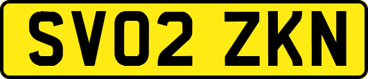 SV02ZKN