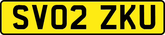 SV02ZKU