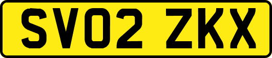 SV02ZKX