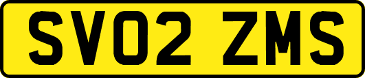 SV02ZMS