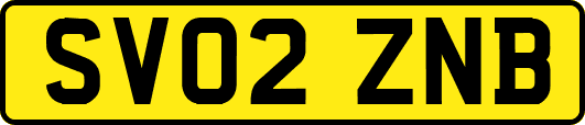 SV02ZNB