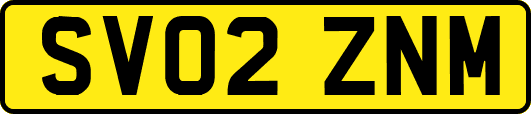 SV02ZNM