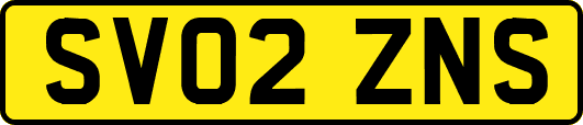 SV02ZNS