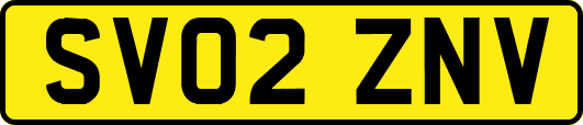 SV02ZNV