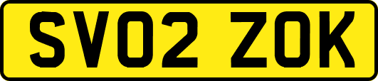SV02ZOK