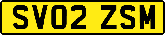 SV02ZSM