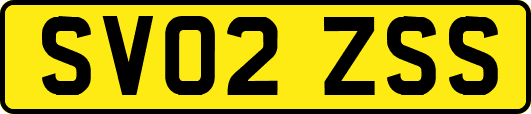 SV02ZSS