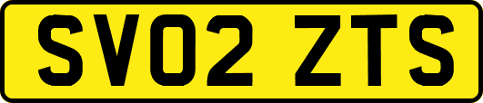 SV02ZTS
