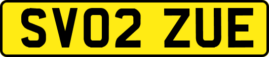 SV02ZUE