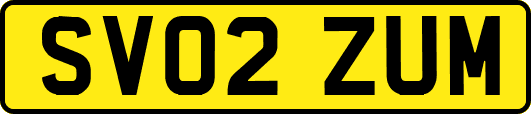 SV02ZUM