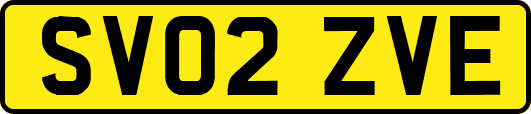 SV02ZVE
