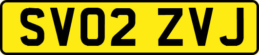 SV02ZVJ