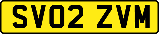 SV02ZVM
