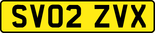 SV02ZVX