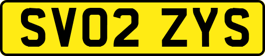 SV02ZYS