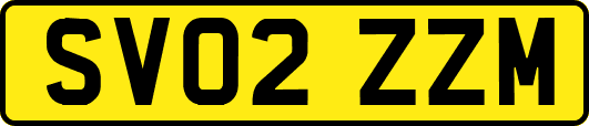 SV02ZZM
