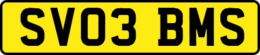 SV03BMS