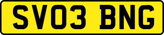 SV03BNG