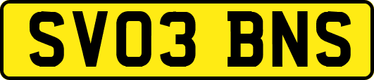 SV03BNS