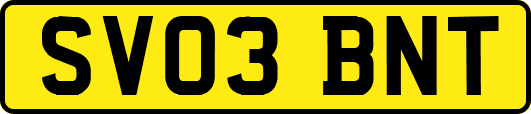 SV03BNT