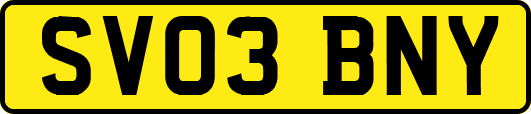 SV03BNY