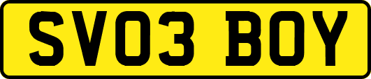 SV03BOY