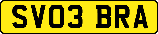 SV03BRA