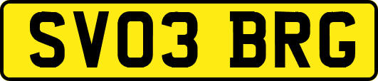 SV03BRG