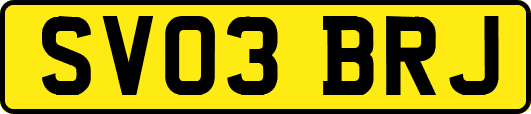 SV03BRJ