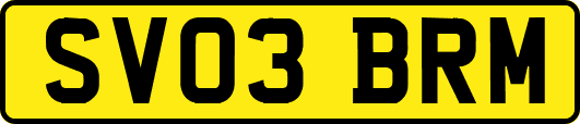 SV03BRM