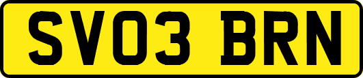 SV03BRN