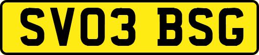SV03BSG