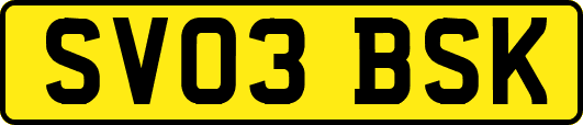 SV03BSK