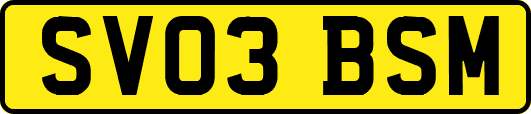 SV03BSM