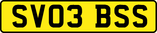 SV03BSS