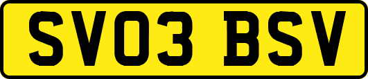 SV03BSV