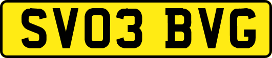 SV03BVG