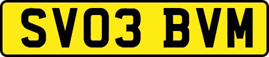 SV03BVM