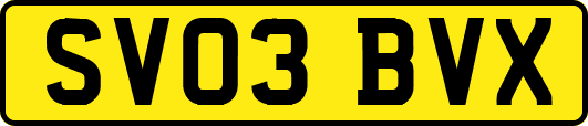 SV03BVX