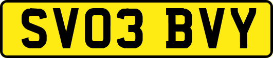 SV03BVY