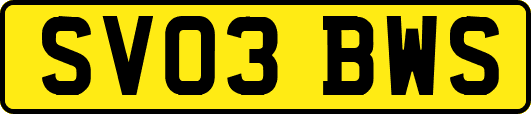 SV03BWS