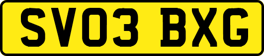SV03BXG