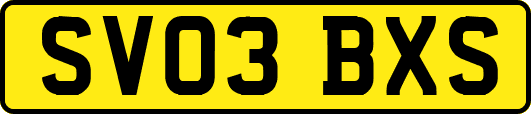 SV03BXS
