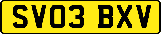 SV03BXV