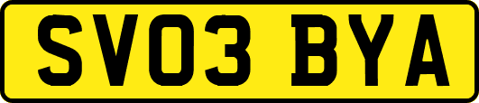 SV03BYA